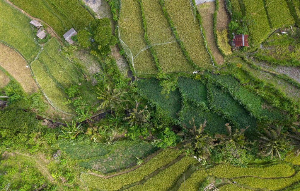 Bali’s Weather: The Good, The Bad, and the Ugly