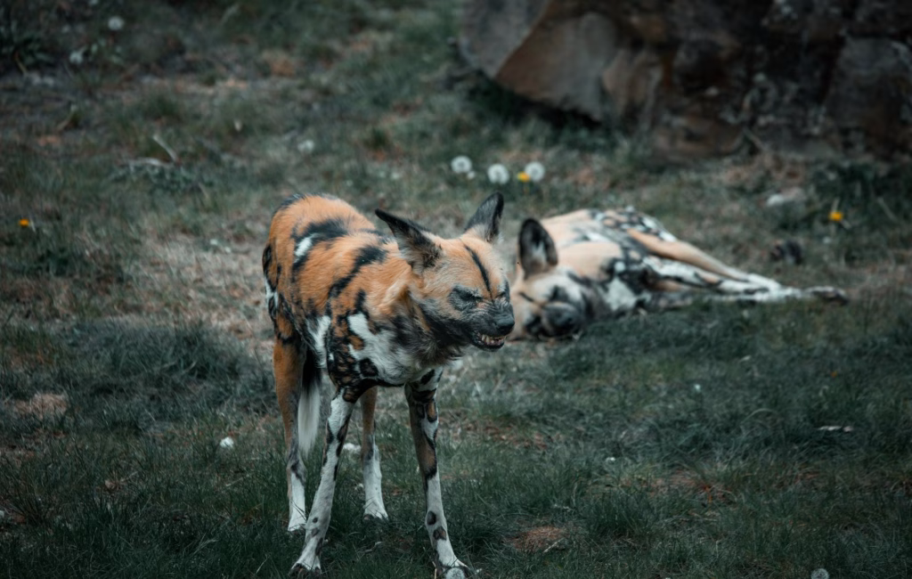 Rainy Season in Bali: Packing Like a Local